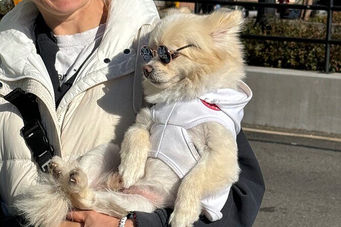 Food, Art, & Buildings of Midtown - FAQ