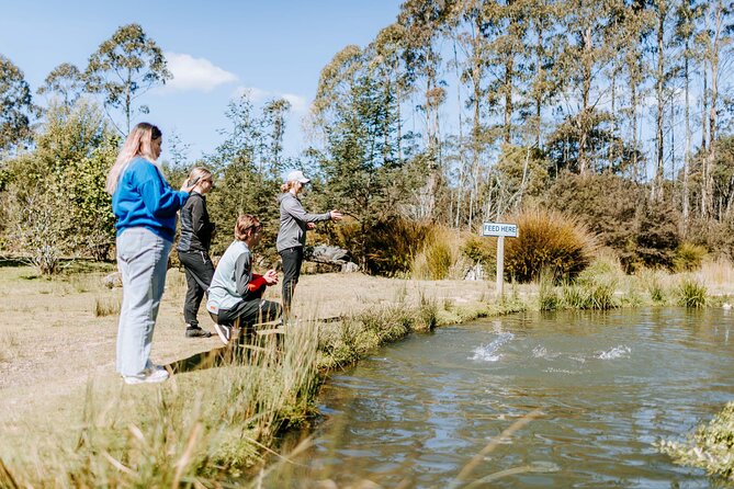Food Crawl Tour in Tasmania - Top Culinary Destinations