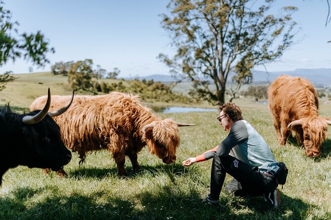 Food Crawl Tour in Tasmania - Common Questions