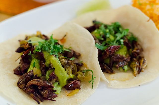 Food Hoppers 2.5-Hour Tour in Playa Del Carmen - Experience Highlights