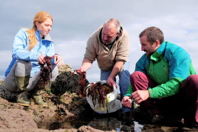 Food Tasting & Cultural Tour Inishmore, Aran Islands.Private - Inclusions and Exclusions