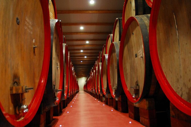 Food Tour Complete: Prosciutto,Parmesan,Balsamic,Wine, Private Transport, Lunch - Balsamic Vinegar Factory Tour