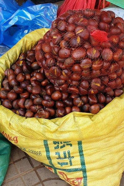 Food Tour in Sa Pa - Exploring Sa Pa Market