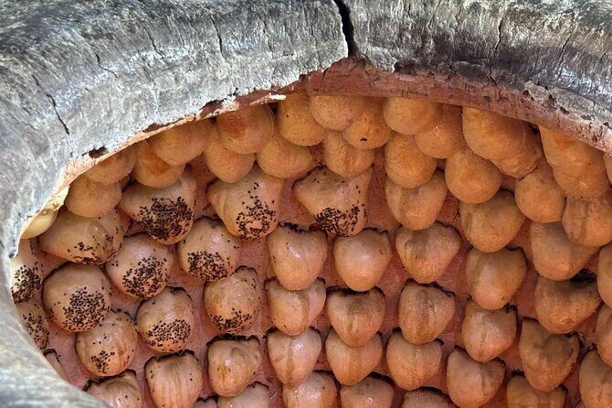 Food tour in Tashkent - Good To Know