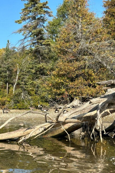 Food Tour on Island Lake, Ontario From Toronto - Inclusions and Exclusions