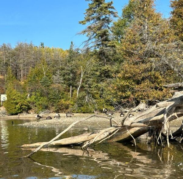 Food Tour on Island Lake, Ontario From Toronto - Frequently Asked Questions