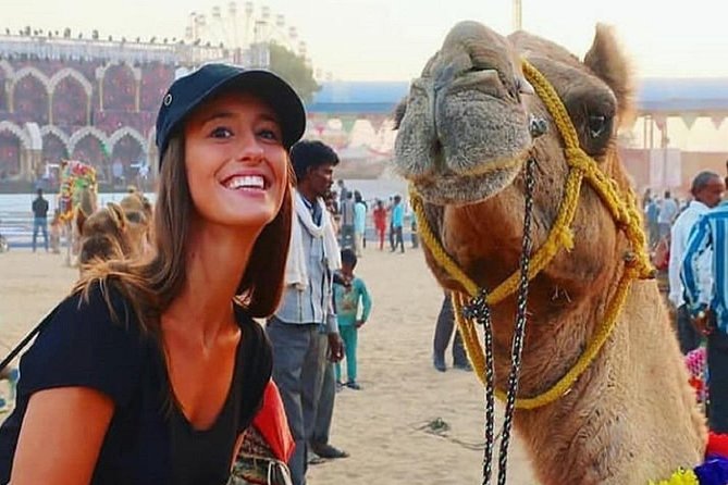 Food Walk Tour Pushkar (2 Hours Guided Food Tasting Walk) - Reviews and Ratings