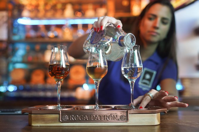 Food, Wine, and History Tour of San Diego - The Sum Up and Lasting Impressions