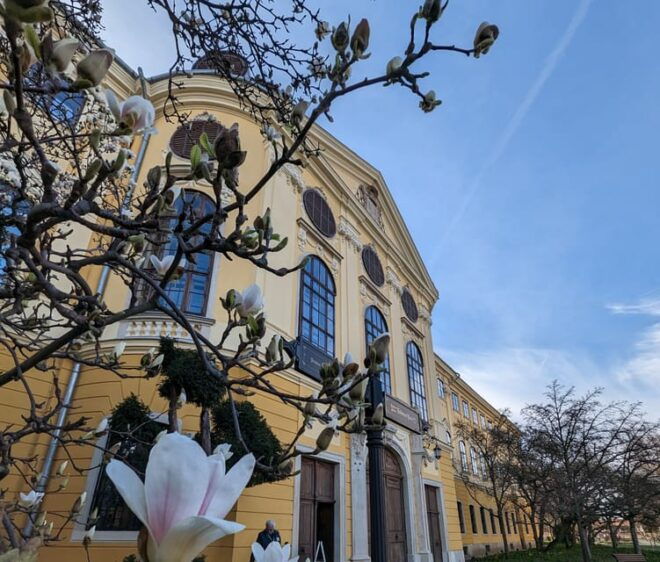 Food, Wine And Sightseeing Tour in Oradea, Romania - Itinerary Details