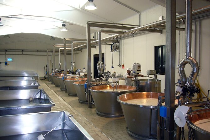 Food/Wine Tasting at Northern Beaches to Hunter Valley - Day Trip - Additional Information and Guidelines