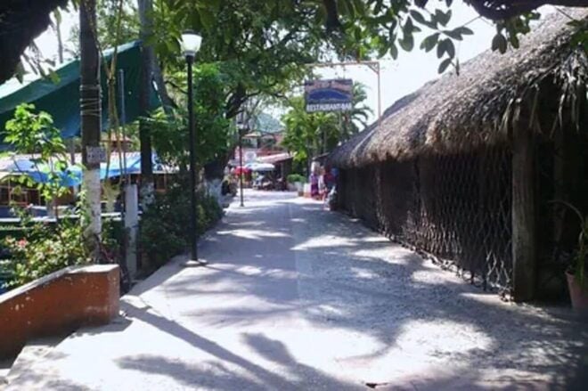 Foody & Walking Tour - Authentic Mexican Cuisine