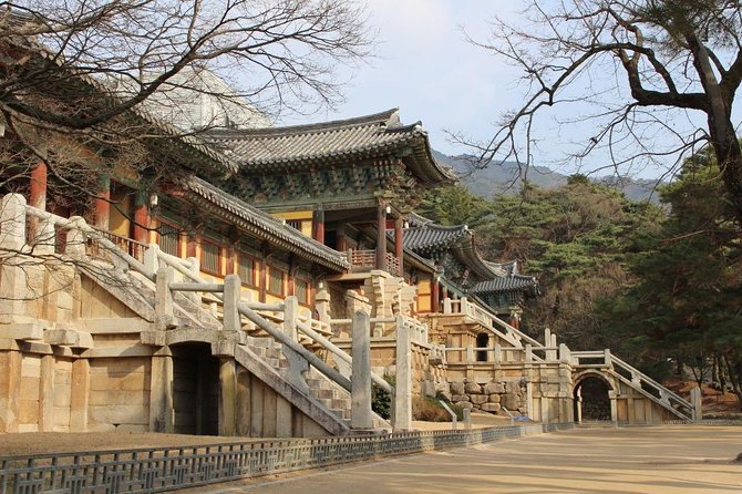 [For a Group of 15-43] Day Trip to Gyeongju From Busan - Experience Details