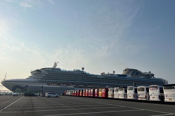 For Busan Cruise Guest highlight Day tour - Good To Know