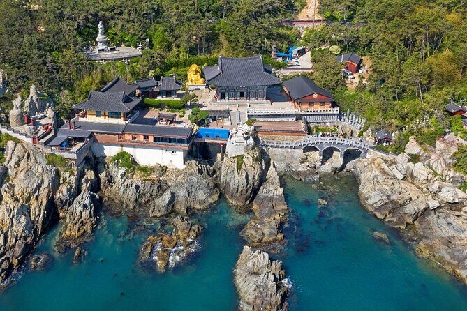 For Busan Cruise Guest highlight Day tour - Who Is This Tour Best Suited For?