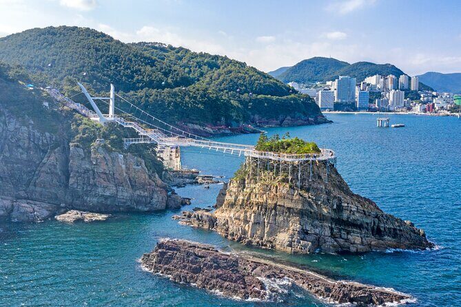 For Busan Cruise Guest highlight Day tour - Who Will Love This Tour?