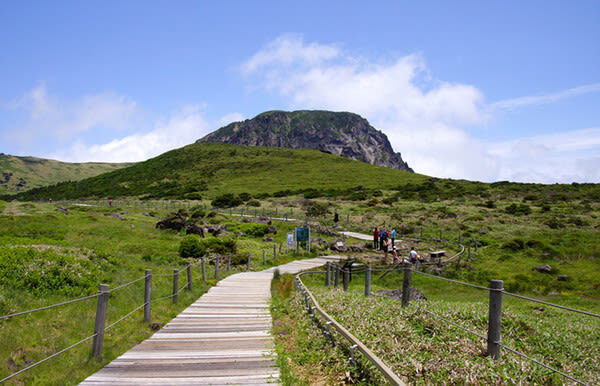 For Cruise Guests: Jeju Shore Excursion Day Tour - A Port Pickup That Saves Time