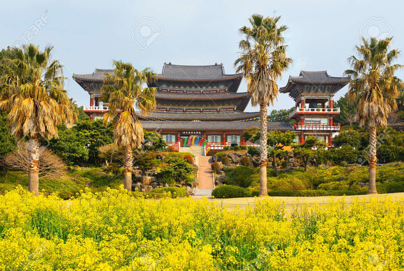 For Cruise Guests: Jeju Shore Excursion Day Tour - Yakcheonsa Temple’s Scale and Stillness