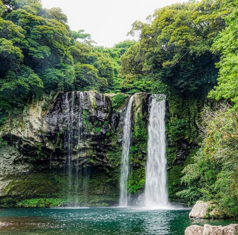 For Cruise Guests: Jeju Shore Excursion Day Tour - Guides, Transport, and the Feel of the Day