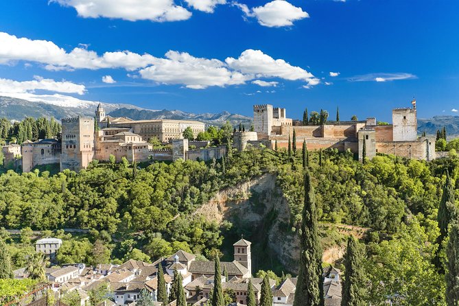 For Cruise Passengers ONLY: Granada and Alhambra From Malaga Port - Traveler Reviews