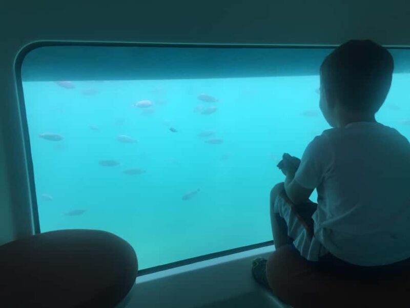 For Families: 45-minute Semi-submarine tours with a mermaid - Insights from Reviewers
