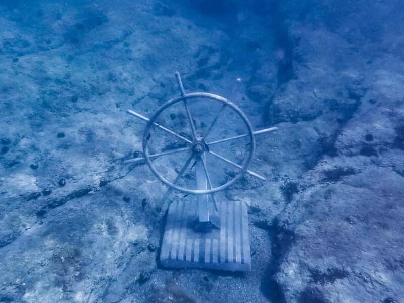 For Families: 45-minute Semi-submarine tours with a mermaid - Who Will Love This Tour?