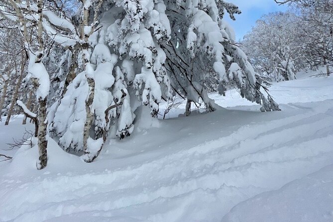 For Intermediate Users! Empty-Handed Ski Lesson With Instructor - What to Expect From the Empty-Handed Ski Lesson
