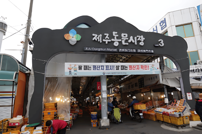 For Jeju Port Cruise Guests : Unesco Day Tour - Important Information and Guidelines