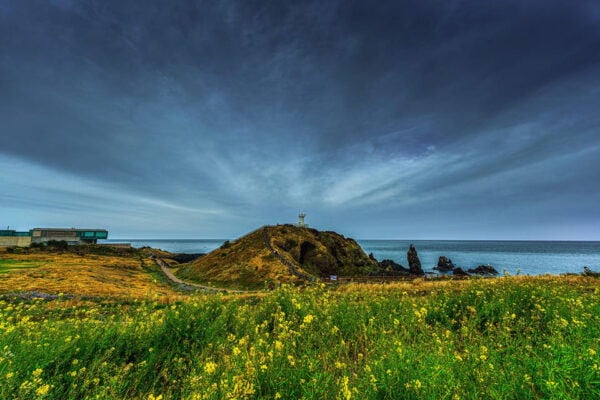 For Jeju Port Cruise Guests : Unesco Day Tour - Unesco World Heritage Sites