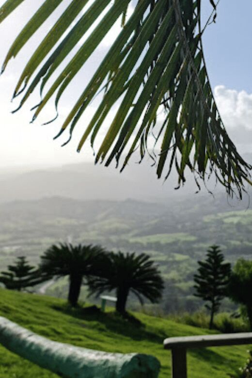 for Small Groups Half-Day Tour to Montaña Redonda - The Sum Up