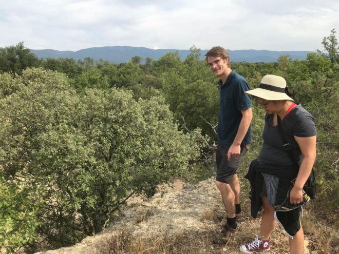 Foraging Fossils & Plants - Inclusions