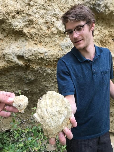 Foraging Fossils & Plants - Meeting Point