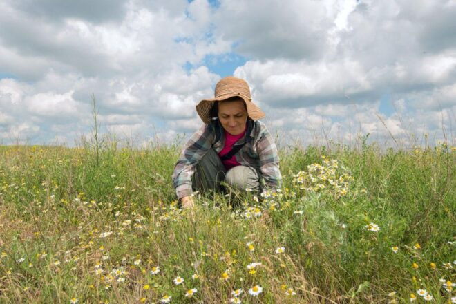 Foraging Tour in the Tuscan Countryside - Inclusions