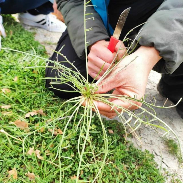 Foraging Tour in the Tuscan Countryside - Booking Details