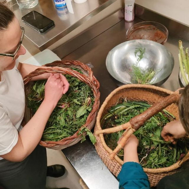 Foraging Tour in the Tuscan Countryside - Important Information