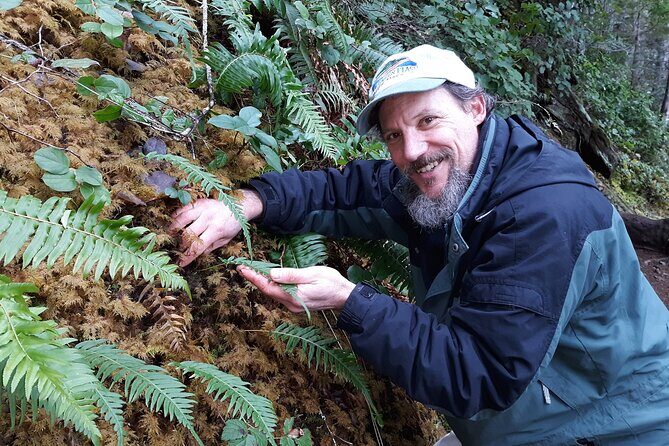 Foraging Tour of Edible Plants and Mushrooms in Brinnon - A Deep Dive into the Forest Foraging Experience  