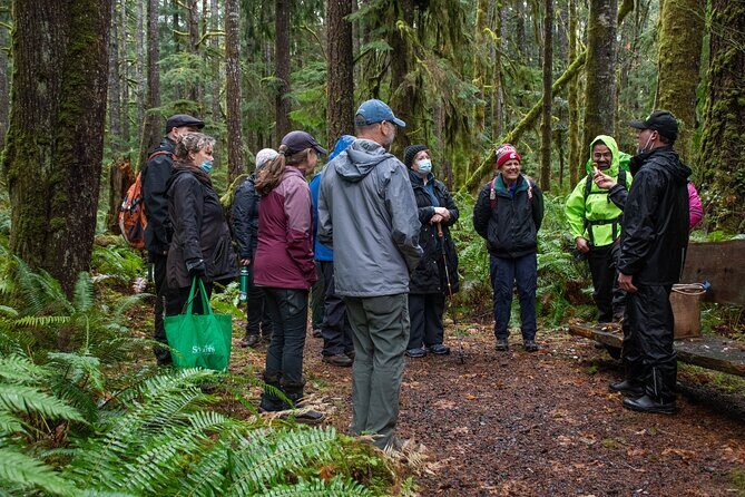 Foraging Tour of Edible Plants and Mushrooms in Brinnon - Who Should Consider This Tour?  