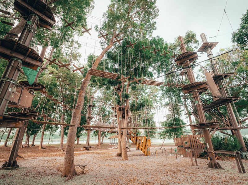 Forest Adventure Treetop Adventure - At a glance