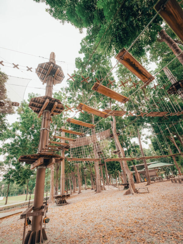 Forest Adventure Treetop Adventure - Choosing Junior, Kids or Grand