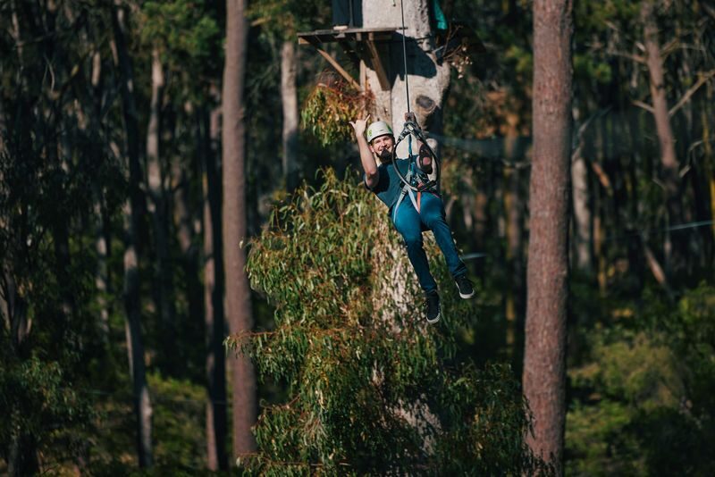 Forest Adventures Park Entry in Busselton - Six courses, rising from 3 to 19 metres