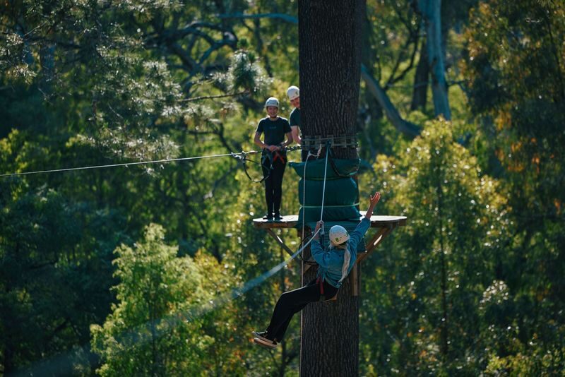 Forest Adventures Park Entry in Busselton - How long to allow, and what the price buys