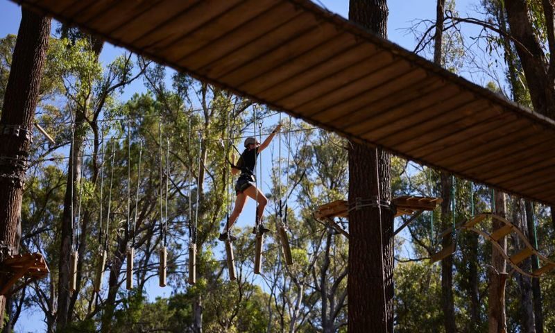 Forest Adventures Park Entry in Busselton - Making the day work