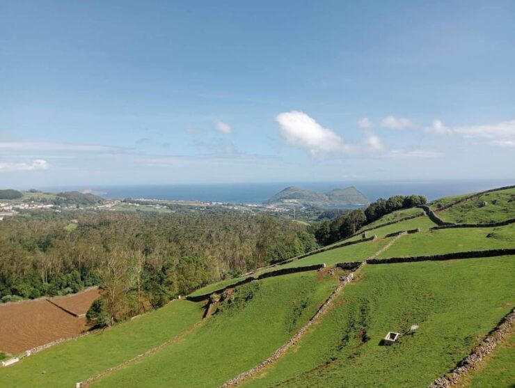 Forest Bathing Activity - Good To Know