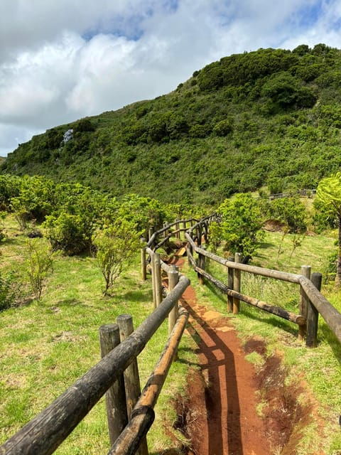 Forest Bathing Activity - Experience Highlights