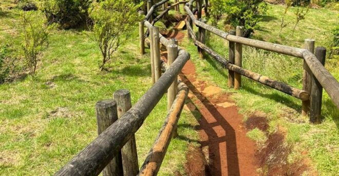 Forest Bathing Activity - Preparation and Requirements