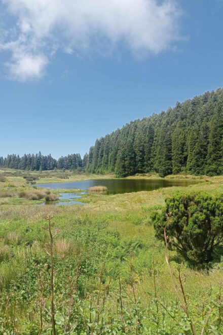 Forest Bathing Activity - Frequently Asked Questions