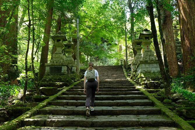 Forest Bathing in Temple and Enjoy Onsen With Healing Power - Cancellation Policy and Weather Conditions