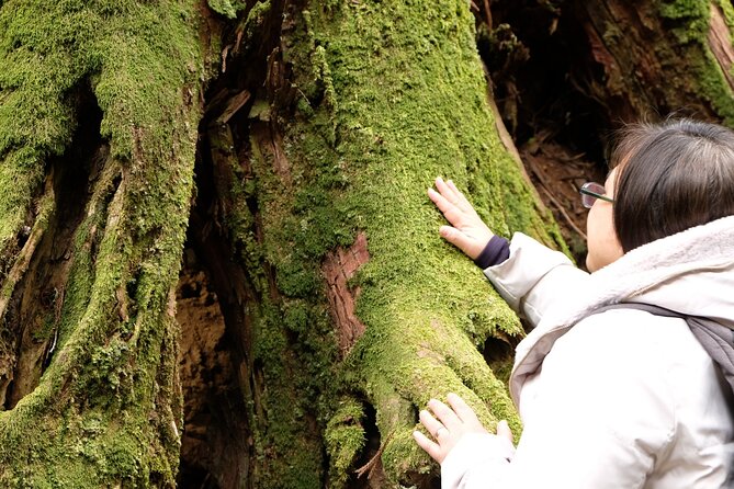 Forest Bathing in Temple and Enjoy Onsen With Healing Power - Reviews and Ratings From Viator and Tripadvisor