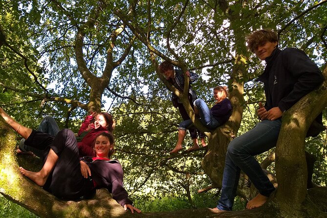Forest Bathing in the Sonian Forest, Belgium. - Overview and Booking Details