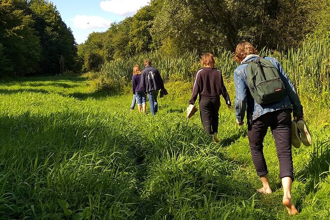 Forest Bathing in the Sonian Forest, Belgium. - Activity Description