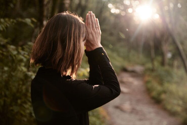 Forest Bathing & Nature Therapy Walking Tour - Activity Details